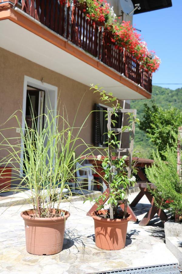 Apartment Mara تولمين المظهر الخارجي الصورة