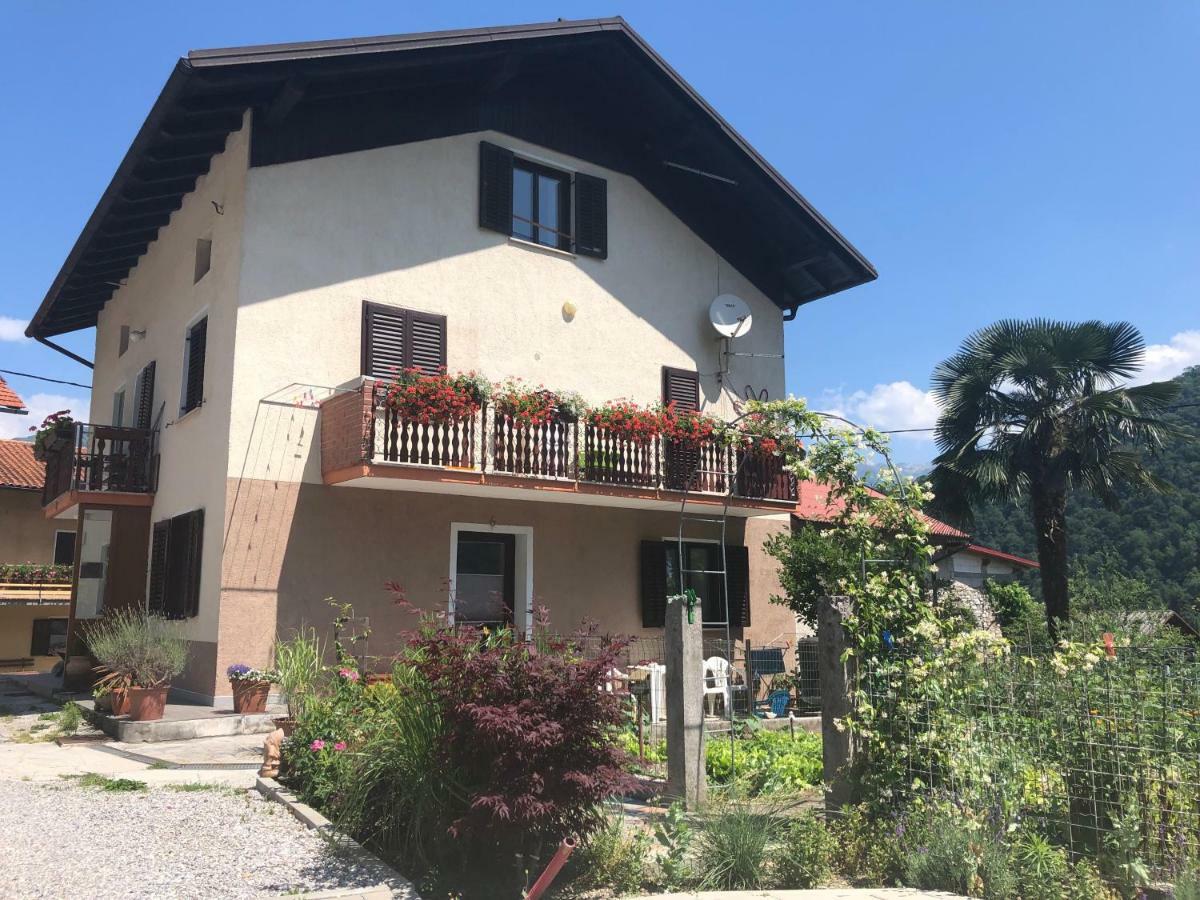 Apartment Mara تولمين المظهر الخارجي الصورة